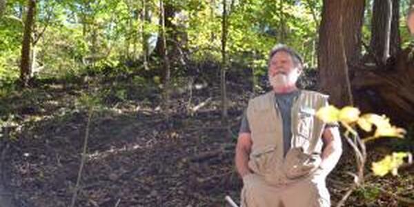 Master Naturalist looking up in woods